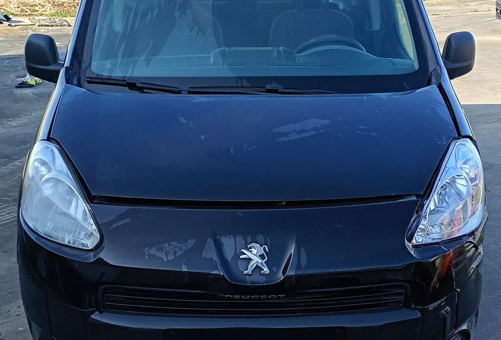 Peugeot Partner Tepee 1.6i Confort