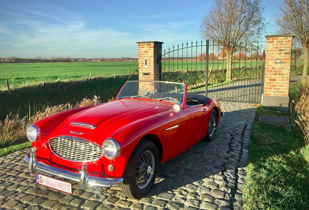 Austin Healey 3000 Mark I BT7 (1960)  Matching numbers
