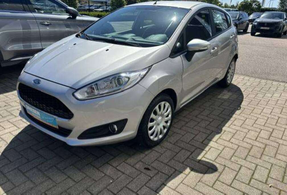Ford Fiesta 1.0i Trend/Airco/38247km/1j gar(1)