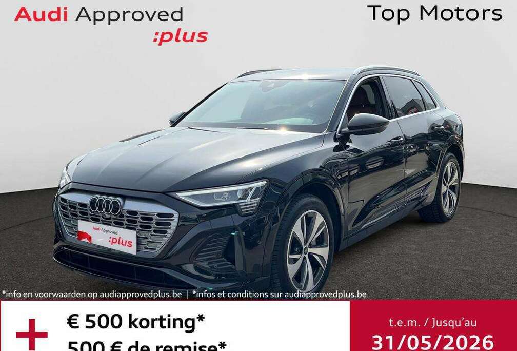 Audi 95KWH*S-LINE*B&O*CARPLAY*CAMERA*SENSOREN*TREKHAAK
