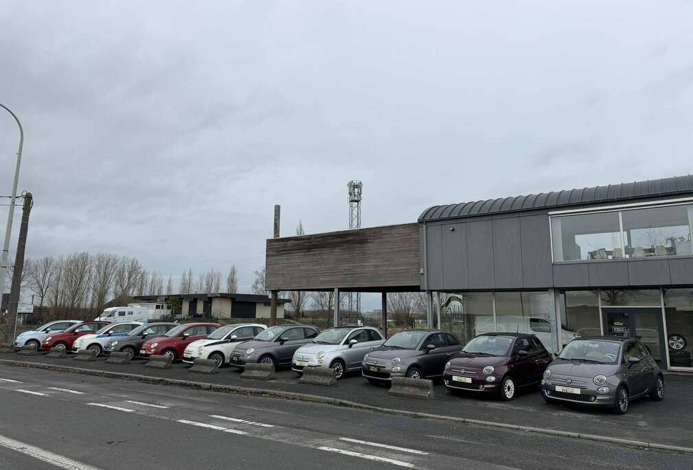 Fiat 500 1.2i Lounge//11 stuks op stock//