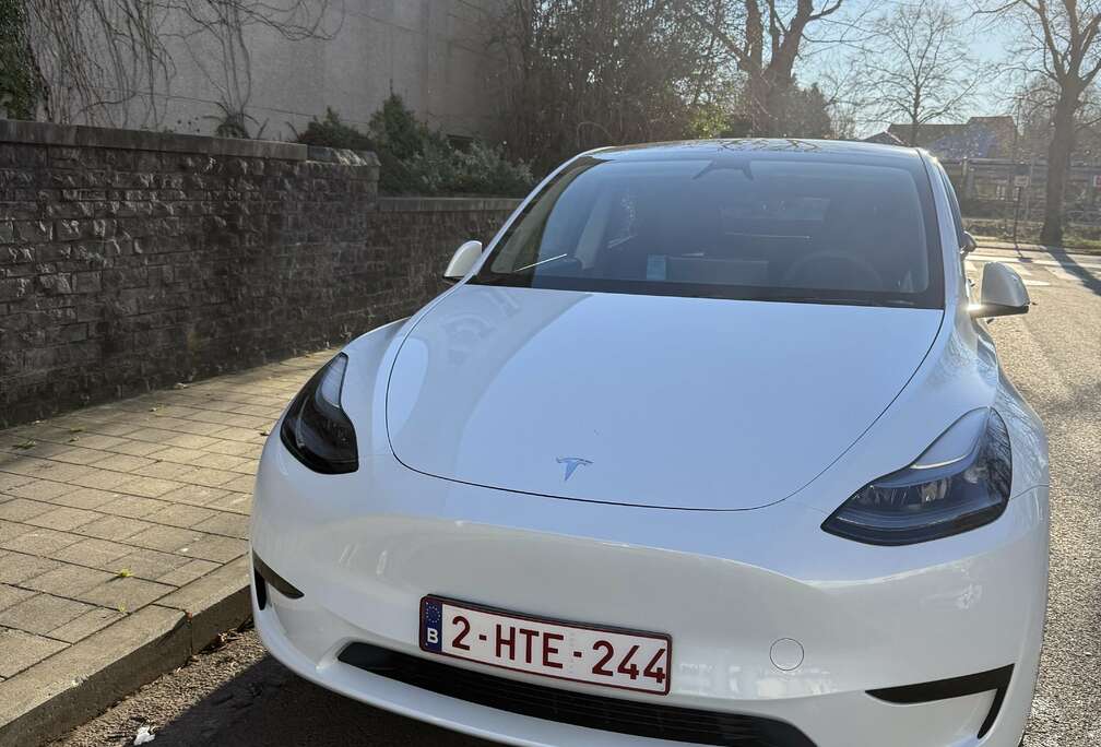 Tesla Long Range RWD