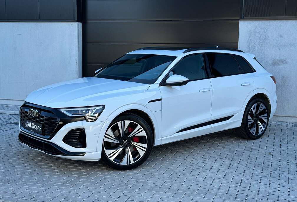 Audi 55 Quattro Competition S-Line / PANO / 360 / B&O / TOP!