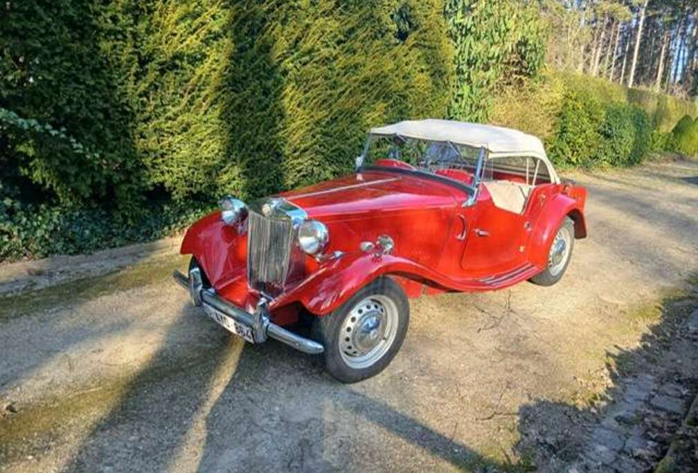 MG