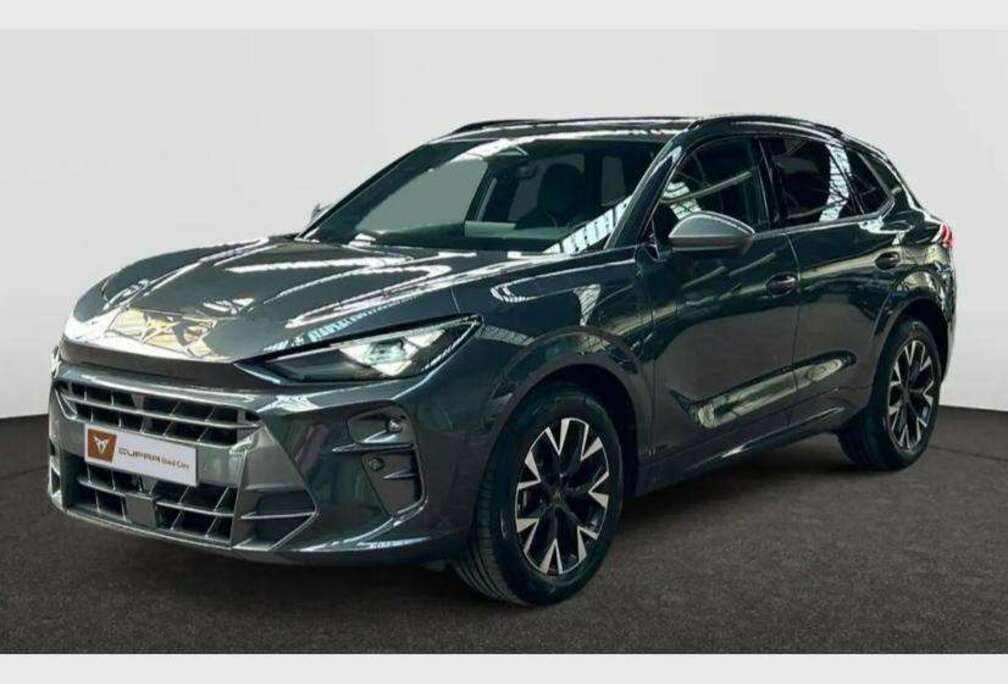 Terramar Business 1.5 eTSI 150ch (110kW) DSG 7v Mild Hybrid