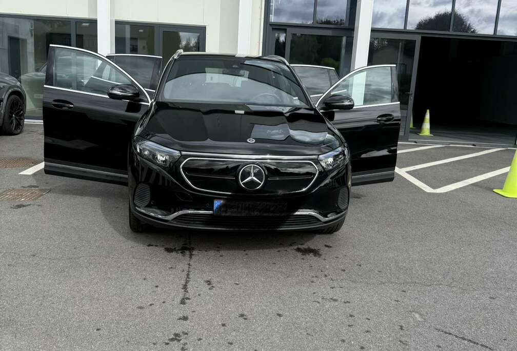 Mercedes-Benz 66.5 kWh 250 Luxury Line