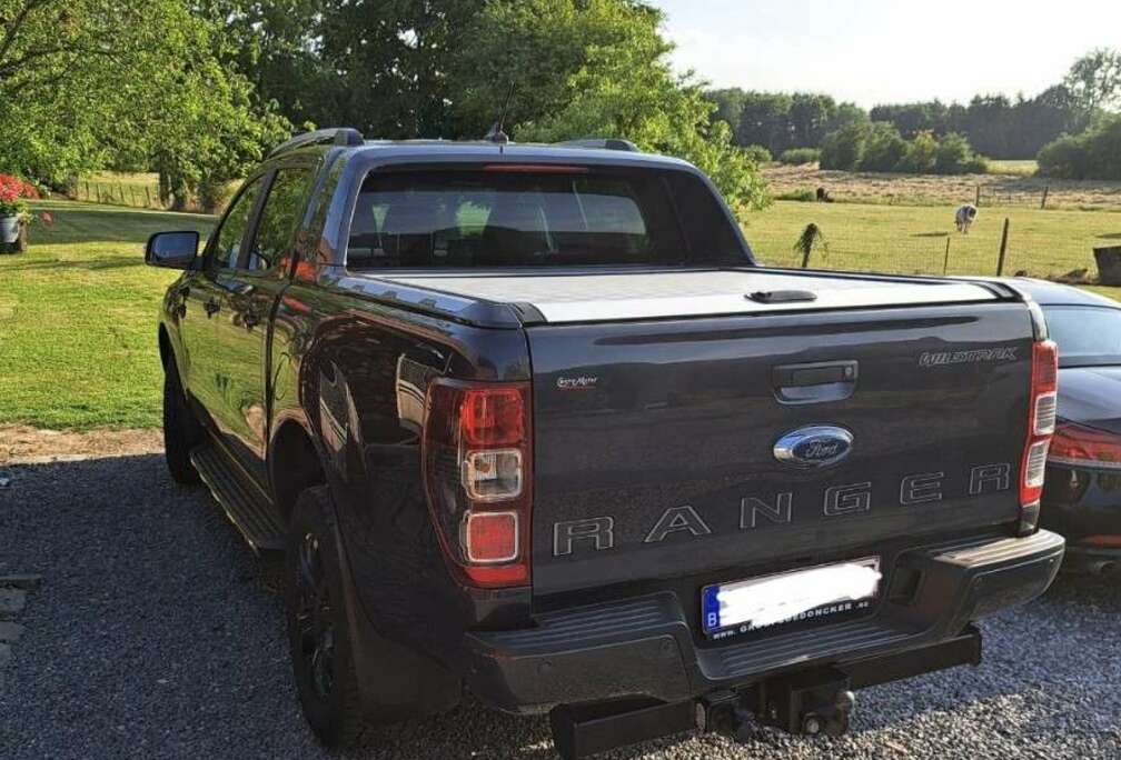 Ford 2.0 BiT EcoBlue Wildtrak (EU6.2)