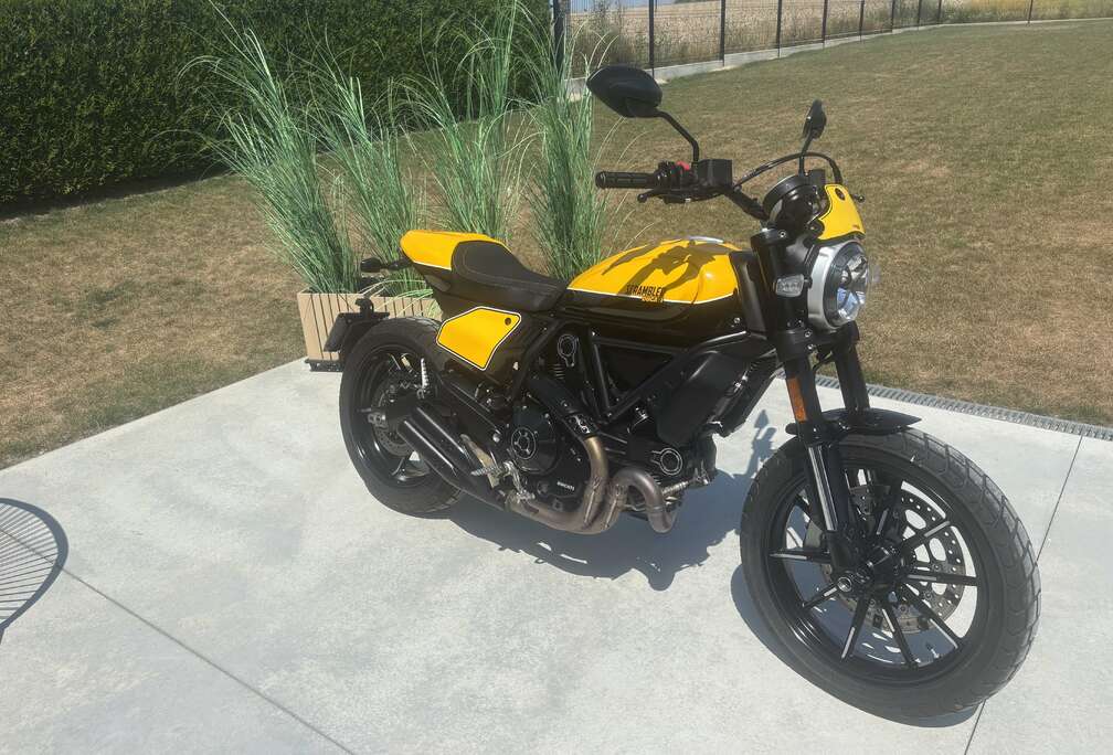 Ducati Scambler 803cc