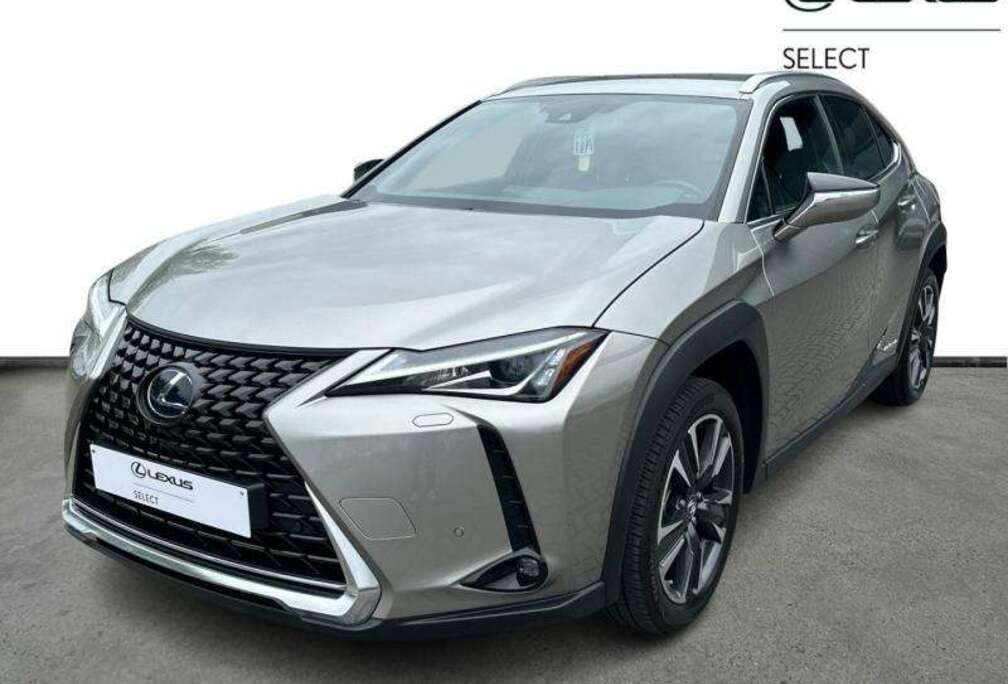 Lexus Business Line Plus + CARPLAY