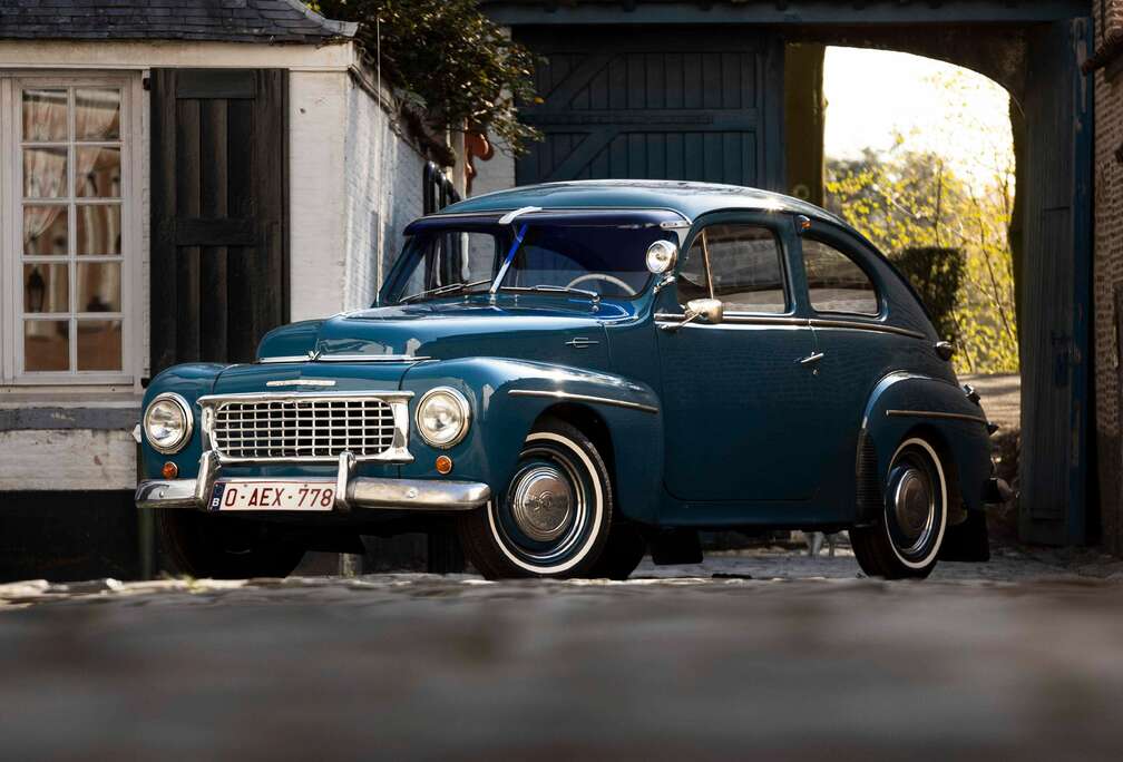 Volvo PV444 kattenrug