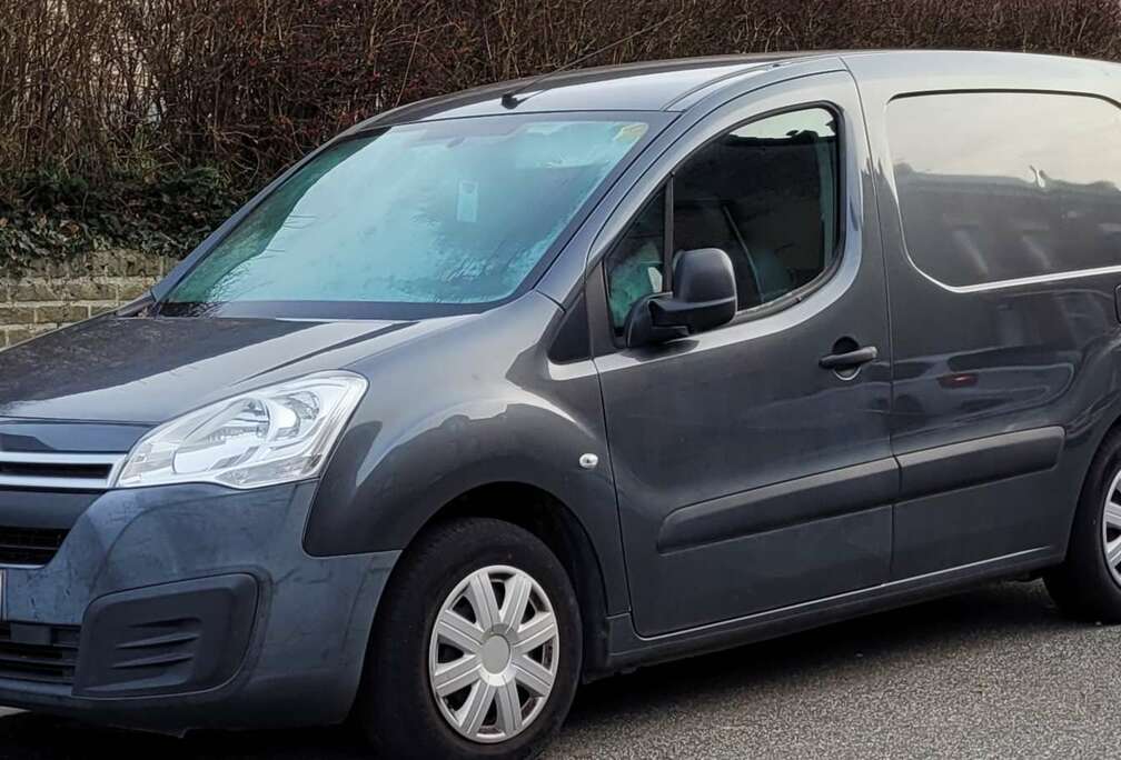 Citroen Berlingo 1.6 HDi 600 kg Hayon/Achterklep