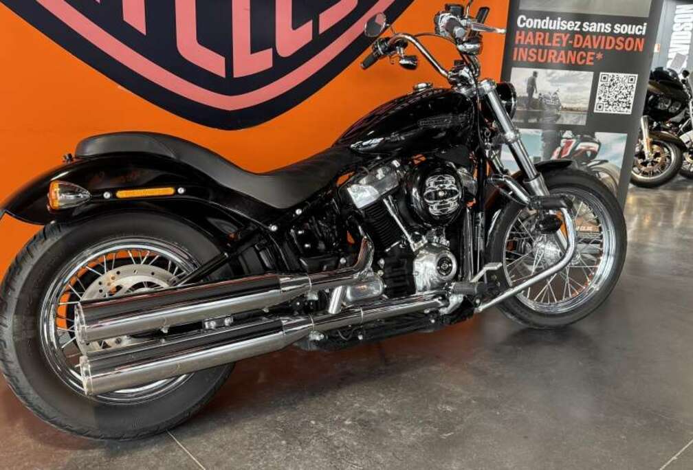 Chopper standard