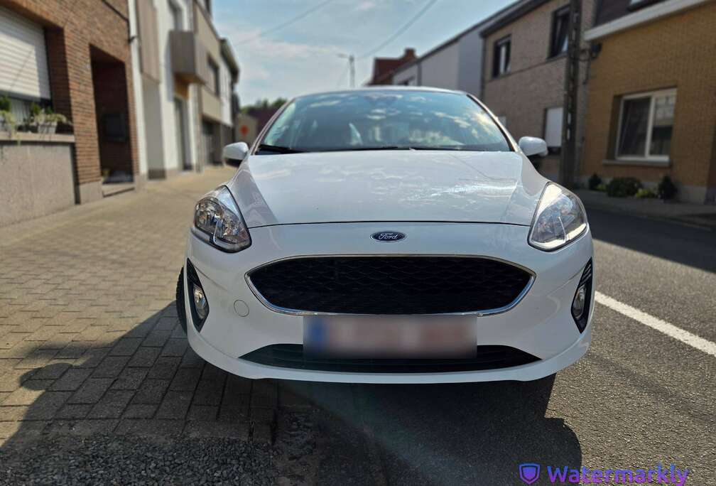 Ford 1.1l Inj. Business Class Lichte vracht