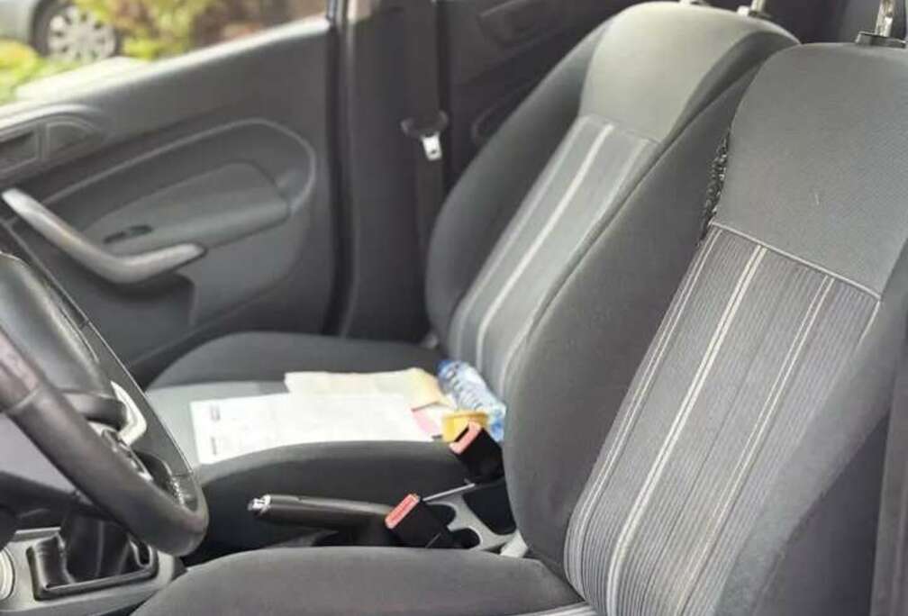 Ford Fiesta 1.6 TDCi Econetic DPF