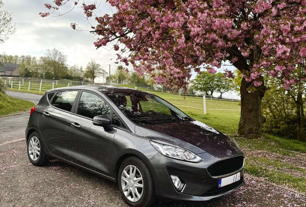 Ford Fiesta 1.5 TDCi Business Class (EU6.2)