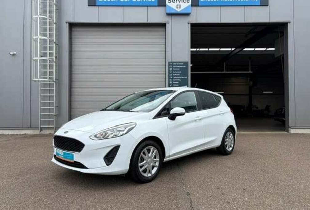 Ford Fiesta 1.1i Trend/Airco/1j gar(1)