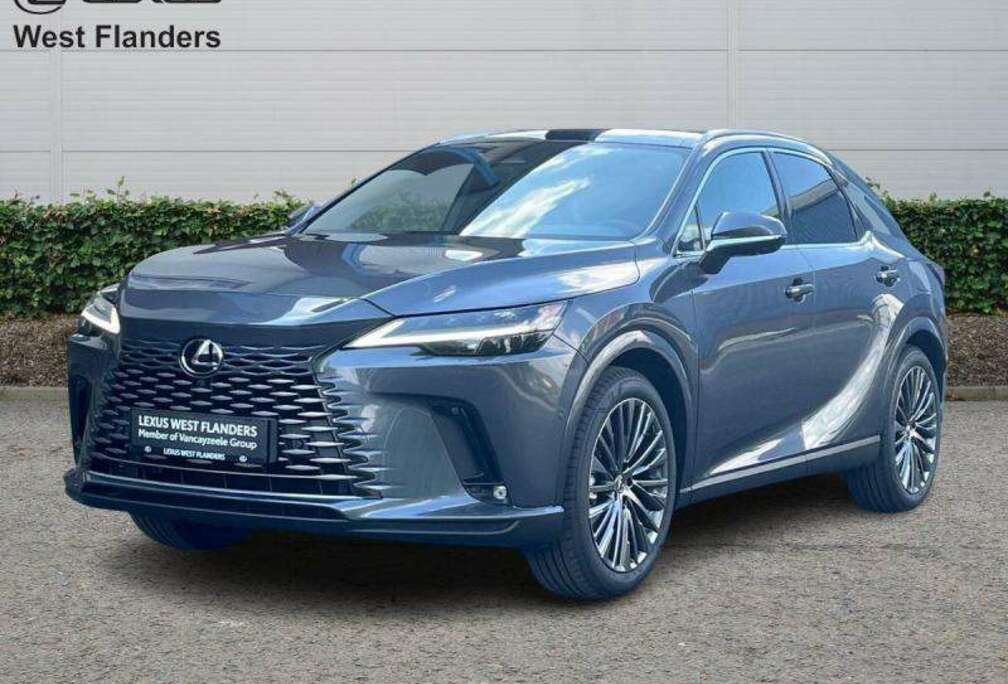 Lexus Privilege Line + 360 camera+s