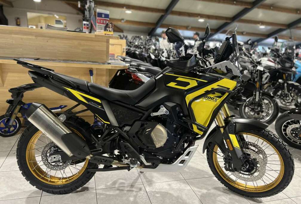 DS800X Rally