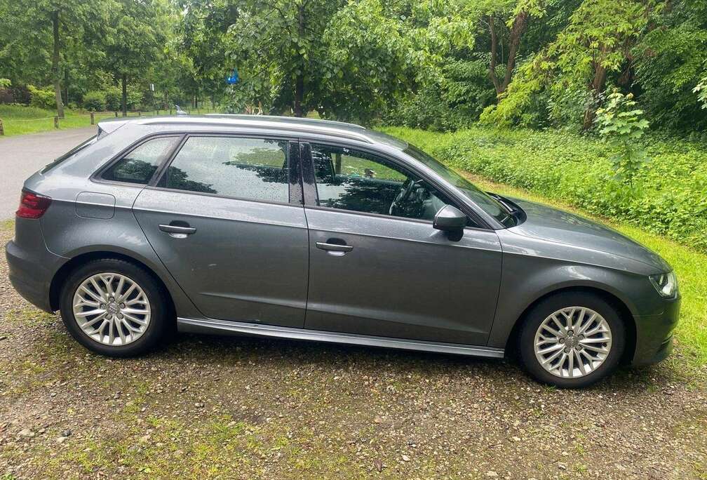 Audi 1.6 TDI (clean diesel) Ambition