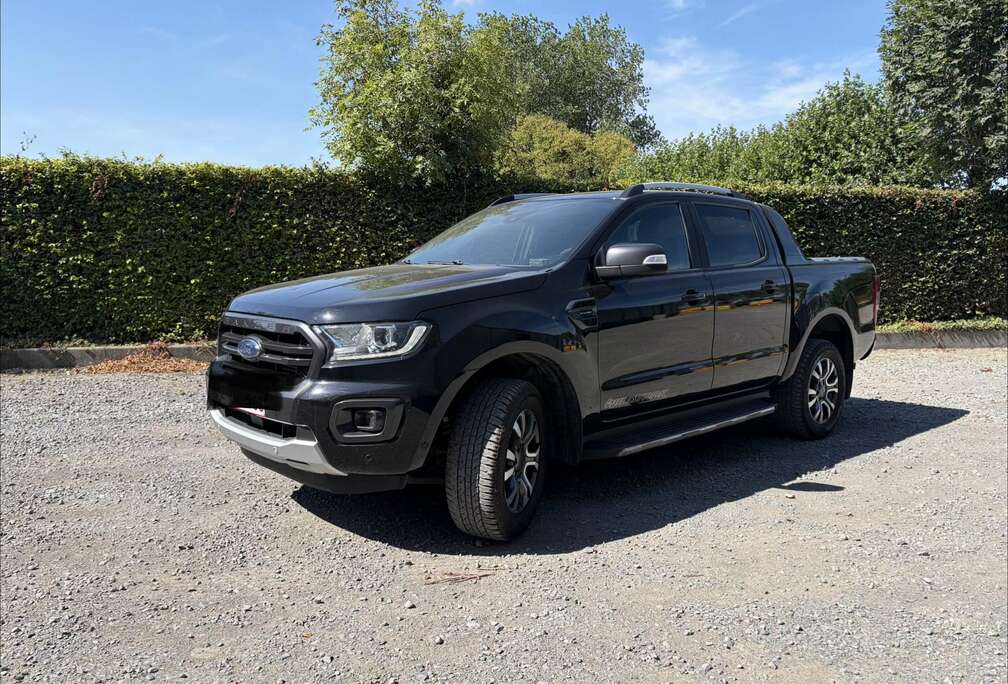 Ford 2.0 BiT EcoBlue Wildtrak (EU6.2)