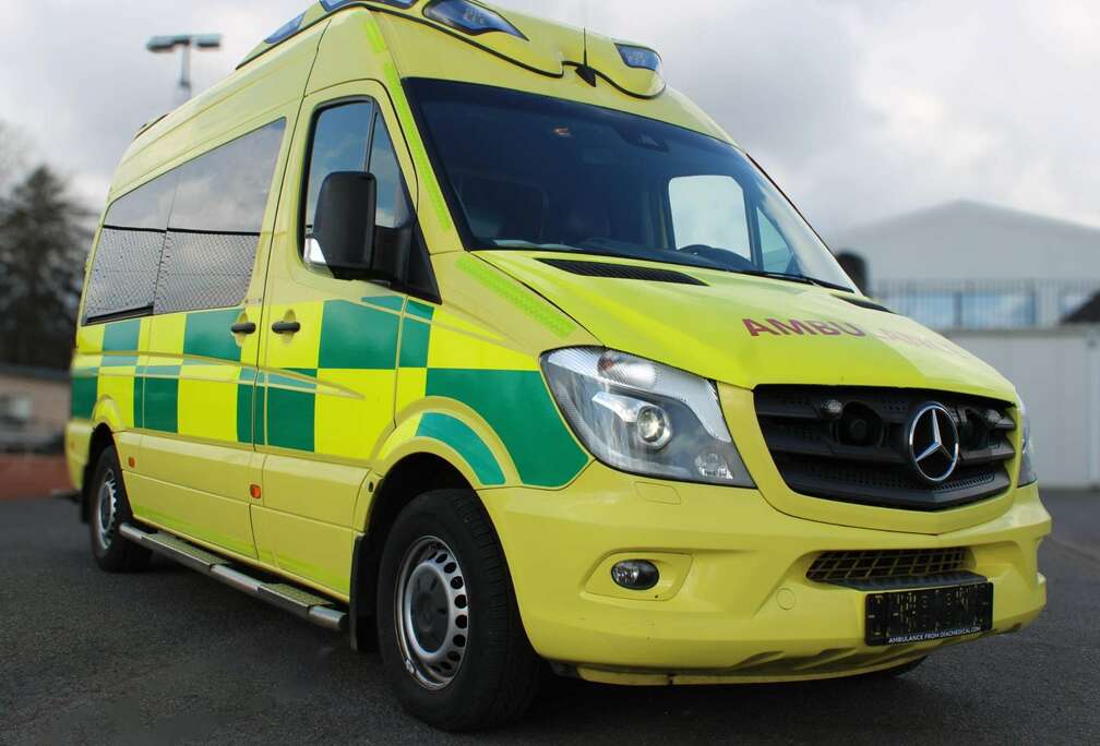 Mercedes-Benz 319 3.0 BlueTEC V6 A2H2 7G-tronic (EU6)