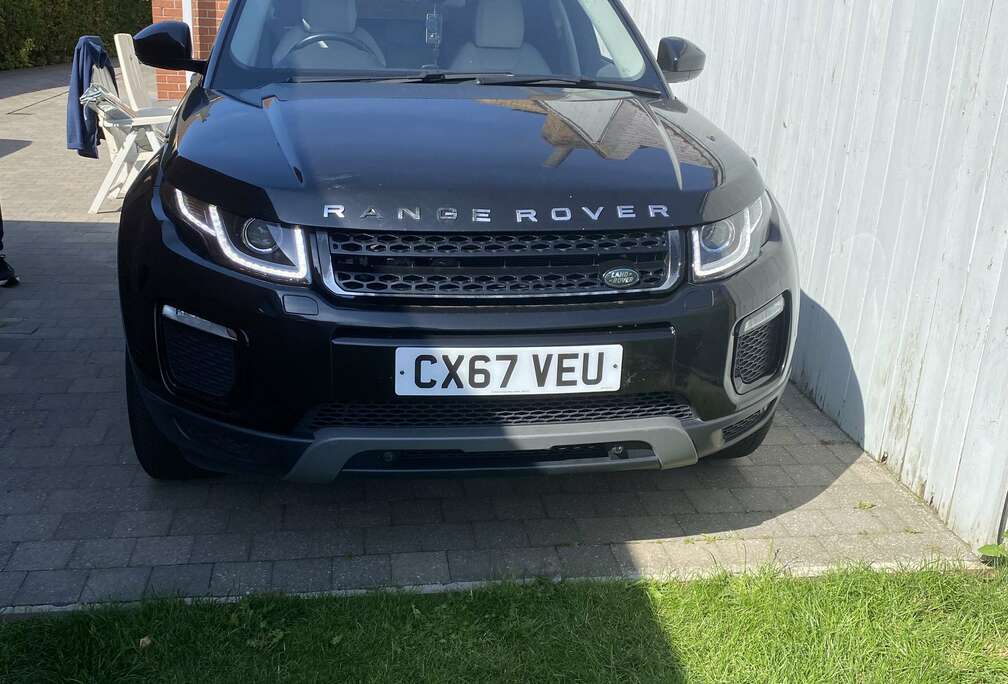 Rover