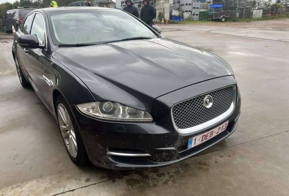 Jaguar 3.0d 75