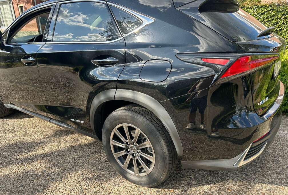Lexus NX 300h 2.5i AWD Business Line  E-CVT (EU6.2)