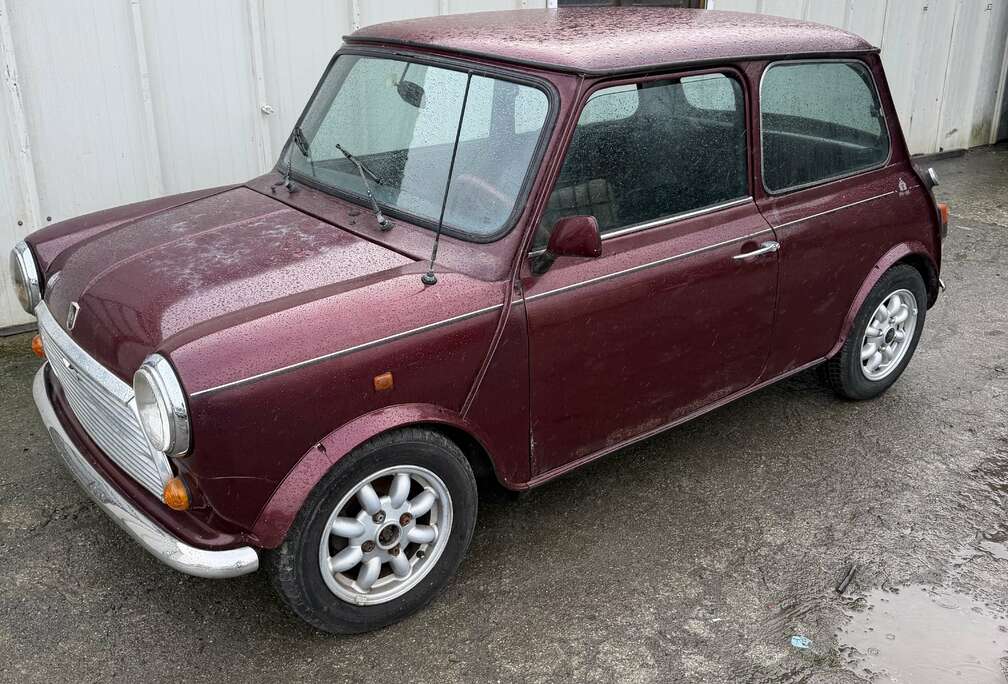 MINI