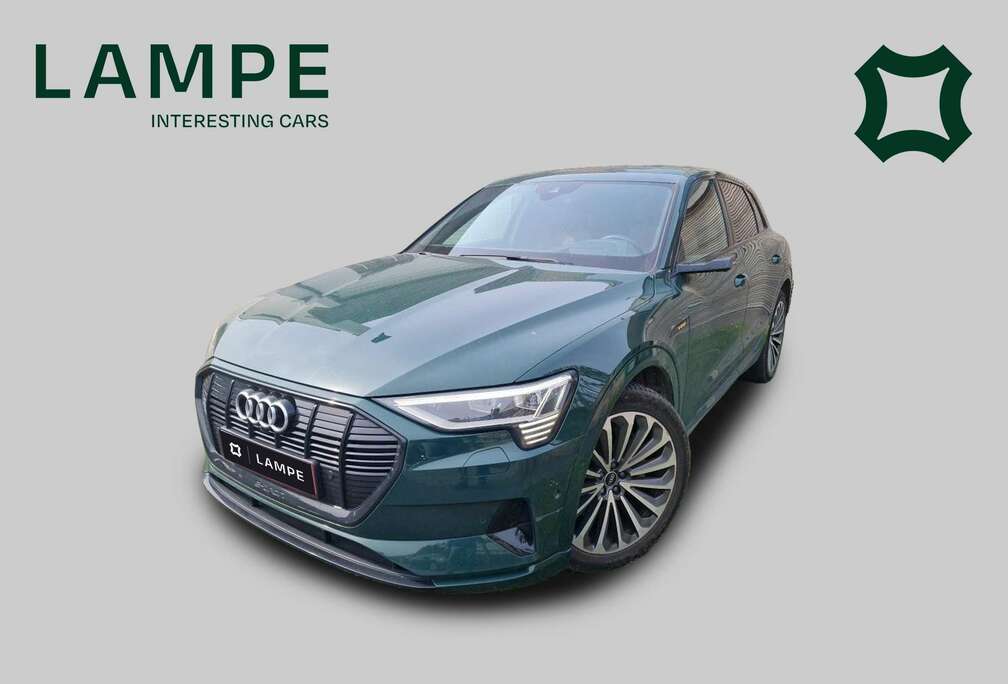 Audi 55 Quattro Advanced Goodwood Green Pano B&O