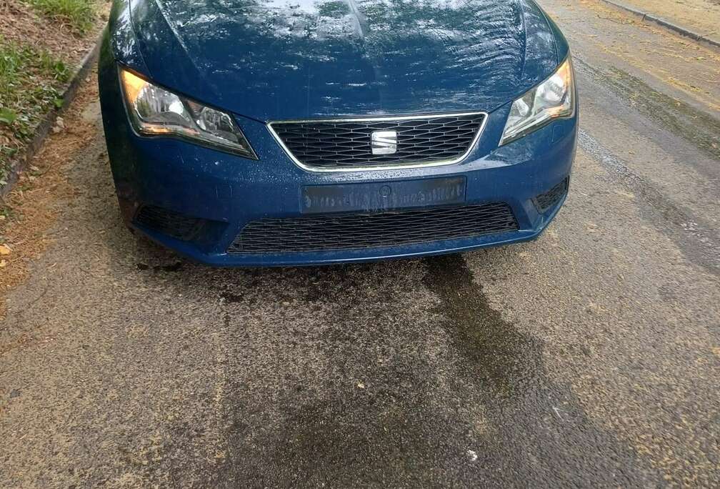 SEAT ST CNG 1.4 TGI Connect