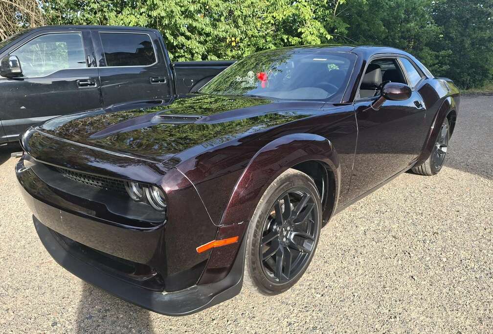 Dodge