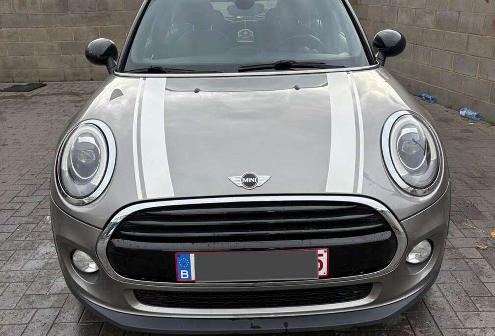 MINI 1.5