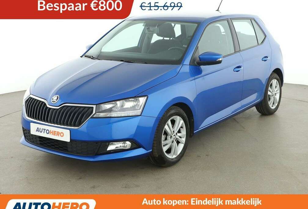 Skoda 1.0 TSI Ambition