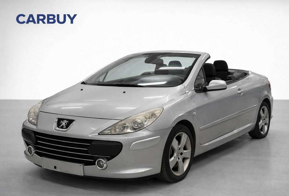 Peugeot Cabrio  Leer Interieur