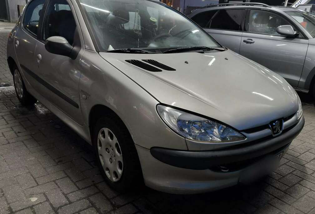 Peugeot 206 1.1i Enfant Terrible