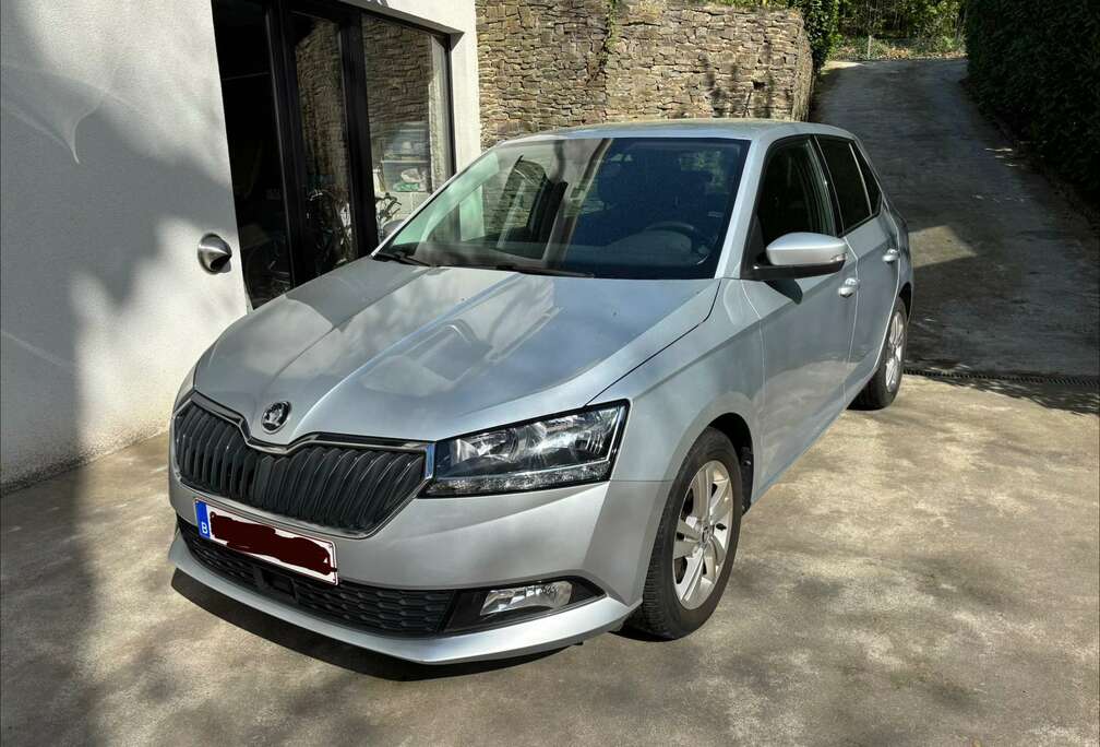 Skoda Fabia 1.0 TSI Clever DSG