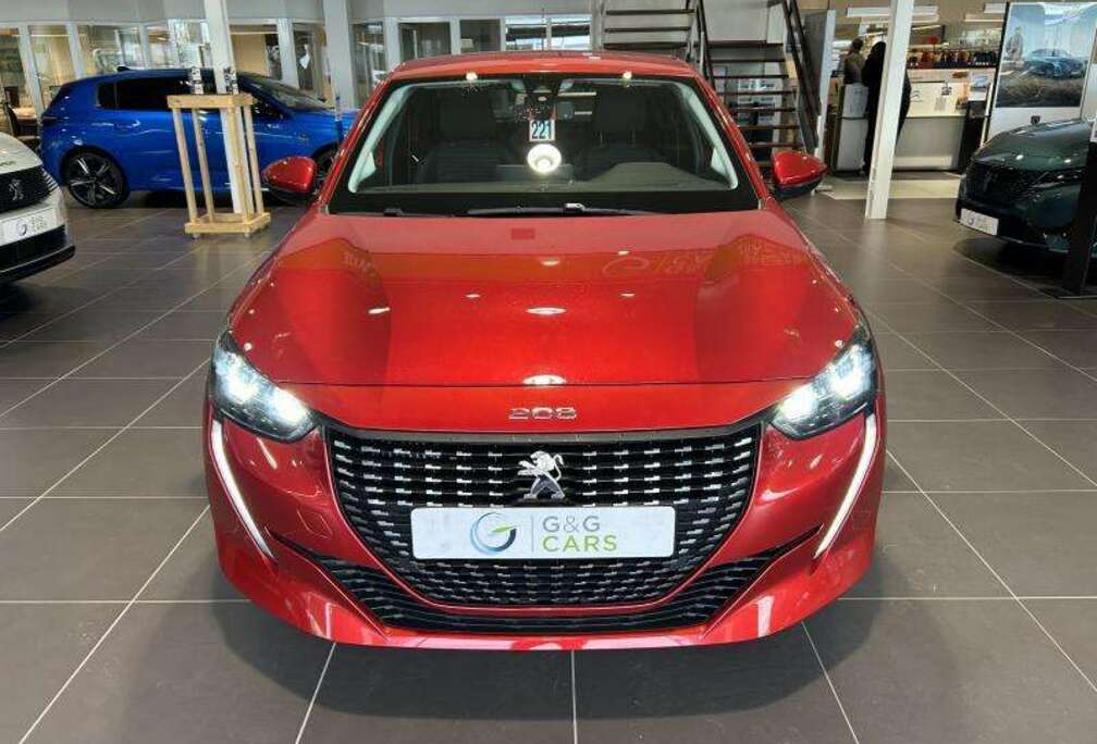 Peugeot Style