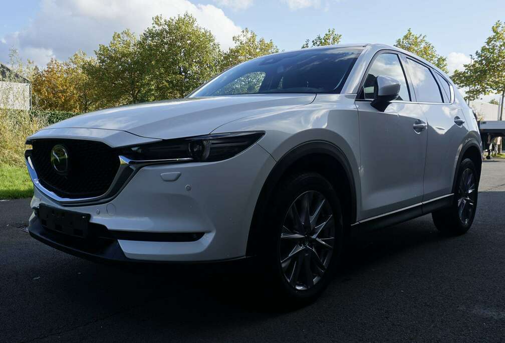 Mazda SKYCRUISE EU6d 44.718Km Automaat Duurste versie