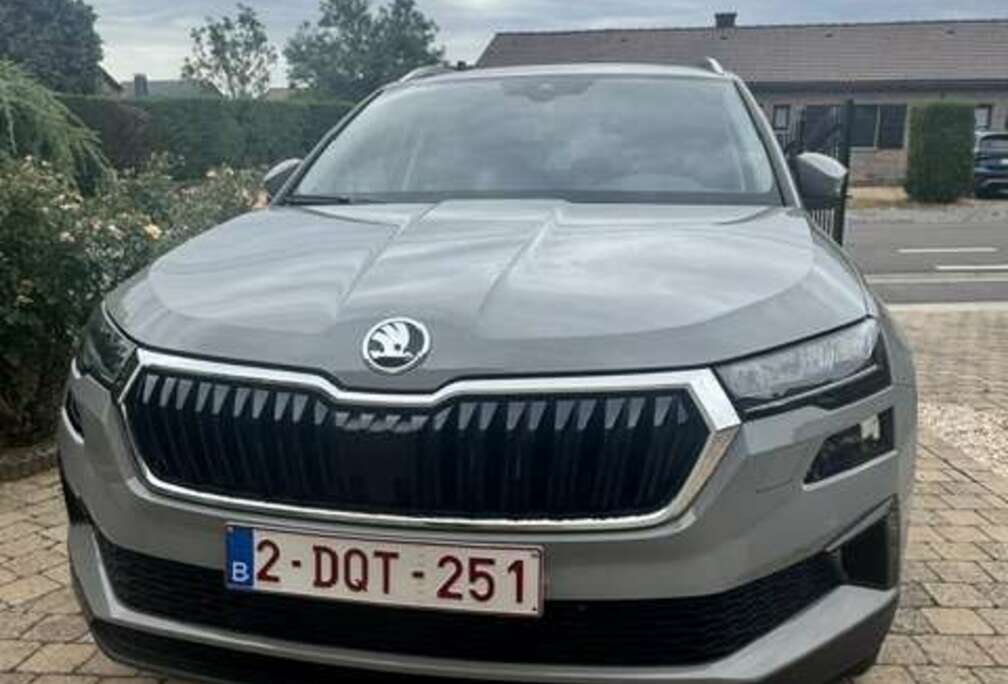 Skoda Karoq 1.5 TSI ACT Ambition DSG Ambition