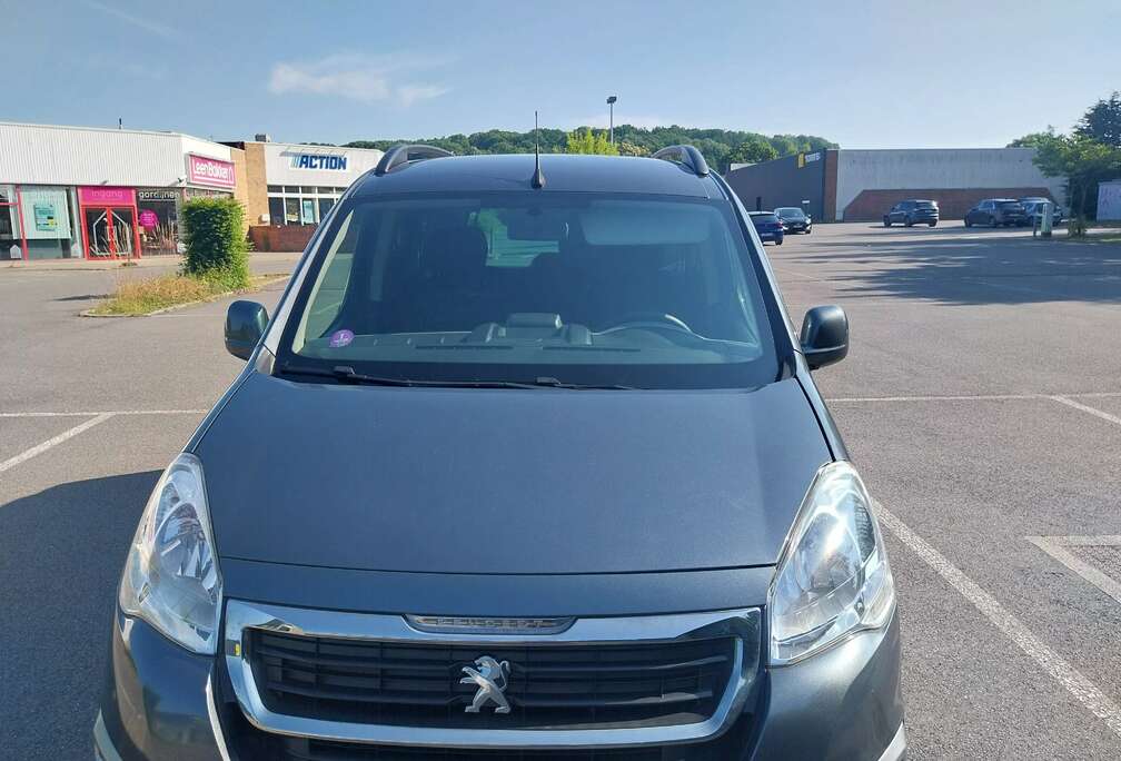 Peugeot Partner Tepee 110 Stop