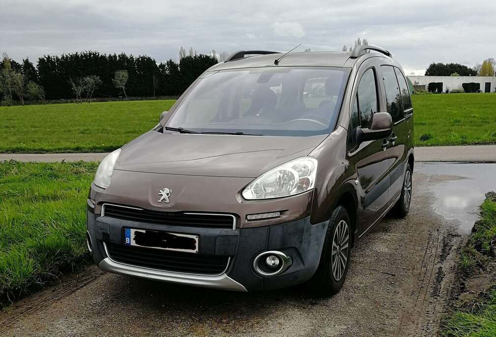 Peugeot Partner Tepee 98 VTi Family