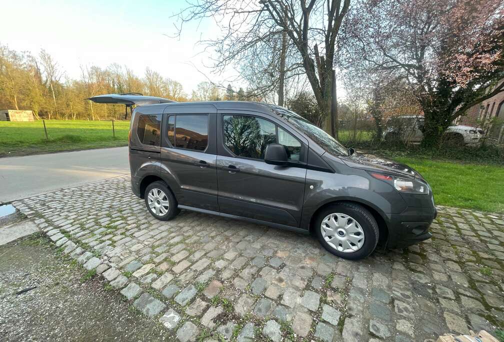 Ford Tourneo Connect 1.0 EcoBoost Titanium (EU6)