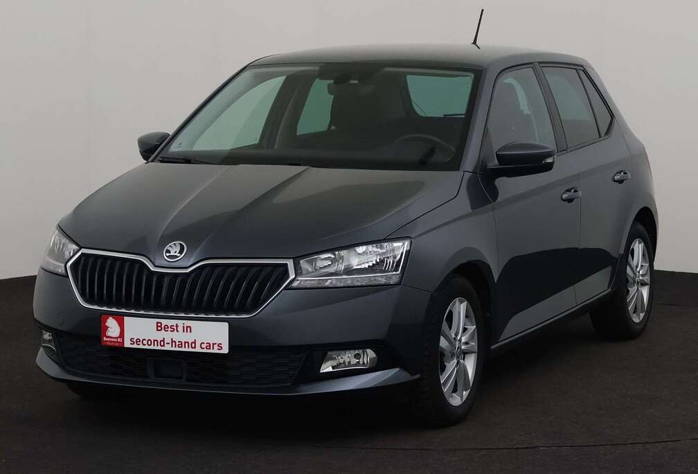 Skoda 1.0TSI