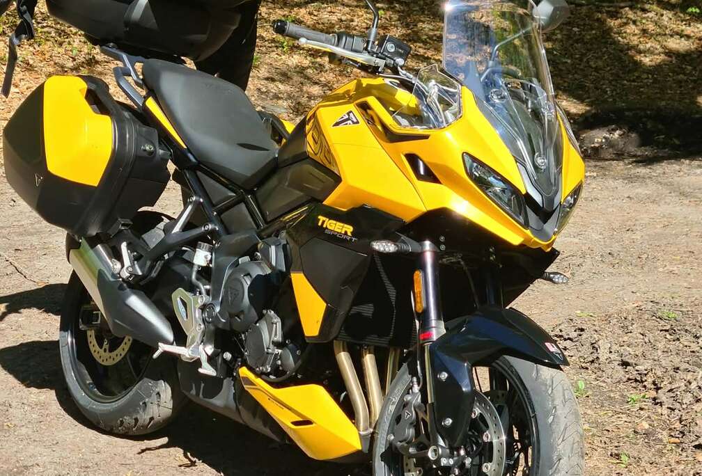Triumph 800