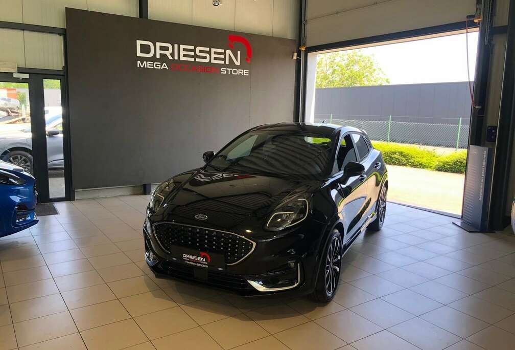 Ford Ecoboost mHEV ST-Line V  BIJ DRIESEN BREE   089/461610