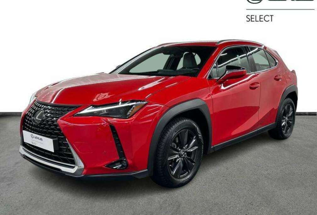 Lexus Business Line 2WD