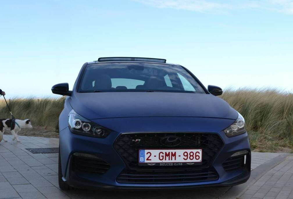 Hyundai Fastback N 2.0 T-GDi Performance Pack