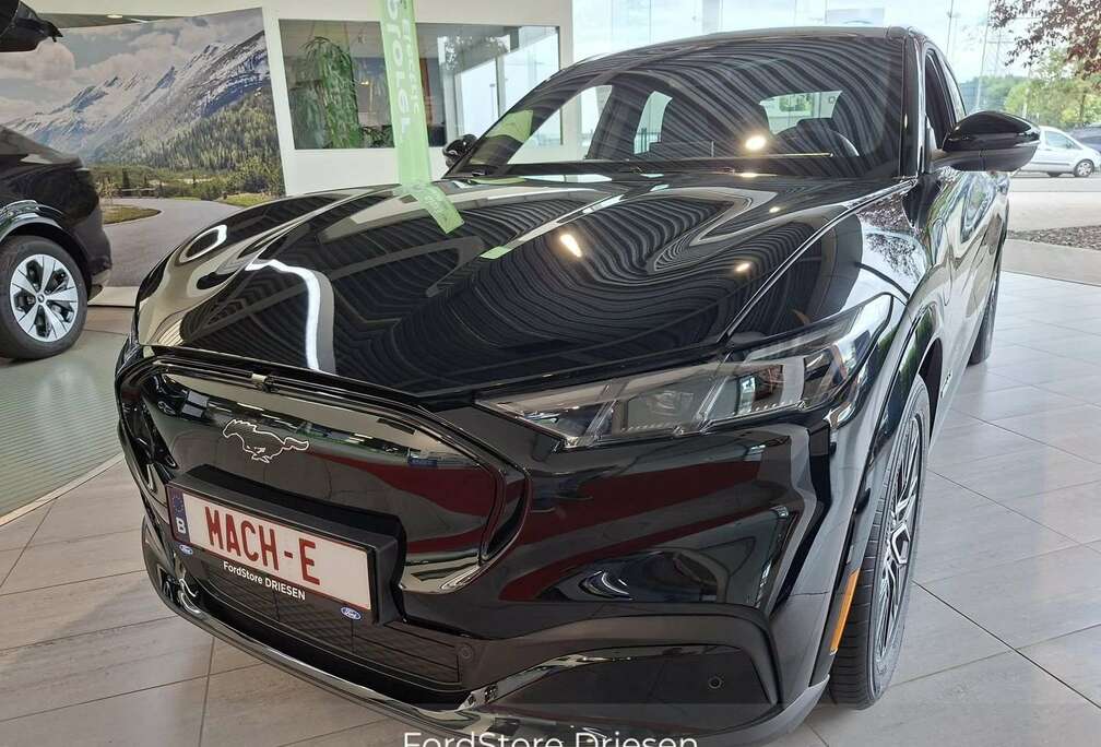 Ford 91 kWh Premium RWD