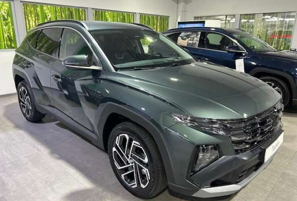 Hyundai TUCSON 1.6 T-GDi HEV 239PK Shine Cypress Green